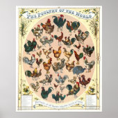 Dekvloeren van pluimvee 1868 poster (Voorkant)