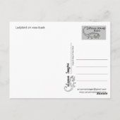 Dekvogel Briefkaart (Achterkant)