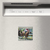 Del Mar rackmagneet Magneet (Insitu (Vaatwasser))
