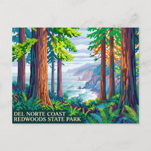 Del Norte Coast Redwoods State Park Californië Briefkaart