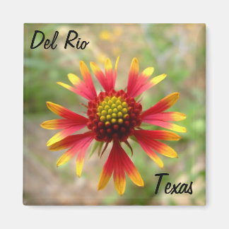 Del Rio Texas magneet deken wilde bloem texa