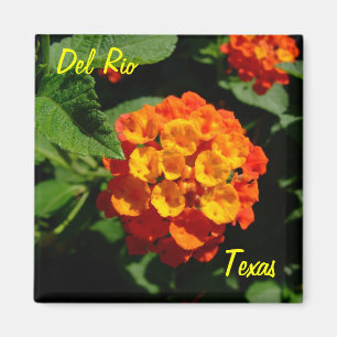 Del Rio Texas Magnet Lantana flower