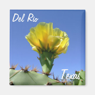 Del Rio Texas souvenirs gele cactus bloem. Magneet