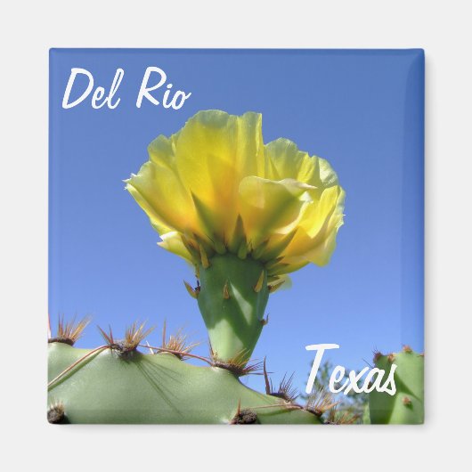 Del Rio Texas souvenirs gele cactus bloem. Magneet (Voorkant)