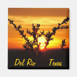 Del Rio Texas souvenirs woestijnborstel zonsonderg Magneet