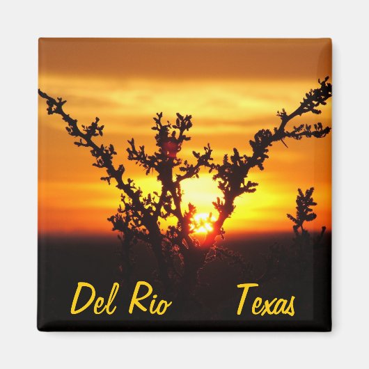 Del Rio Texas souvenirs woestijnborstel zonsonderg Magneet (Voorkant)