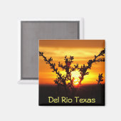 Del Rio Texas souvenirs woestijnborstel zonsonderg Magneet (Voorkant / Achterkant)