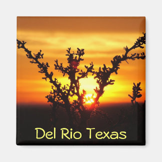 Del Rio Texas souvenirs woestijnborstel zonsonderg Magneet