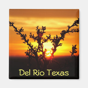 Del Rio Texas souvenirs woestijnpenseel Magneet