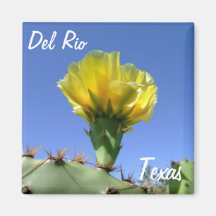 Del Rio Texas souvenirs yellow cactus flower. Magneet