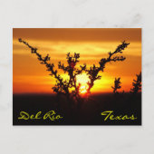 Del Rio Texas Sunset Briefkaart (Voorkant)