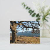 Del Valle Regional Park, Livermore, CA Briefkaart (Staand voorkant)