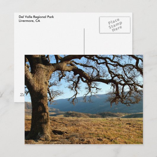 Del Valle Regional Park, Livermore, CA Briefkaart (Voorkant / Achterkant)