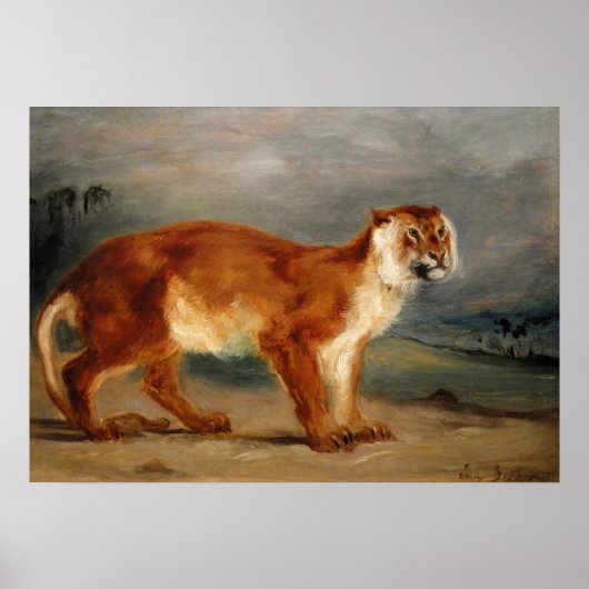 Delacroix - Leeuwin 1832 Poster (Voorkant)