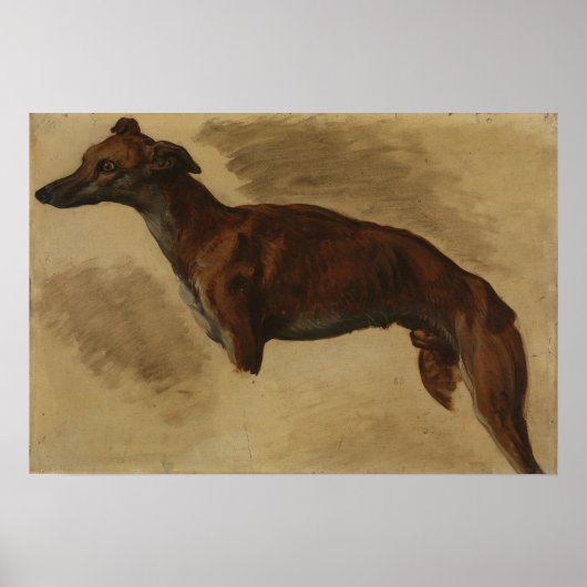 Delacroix - Levrier vermoedelijk 1859 Poster (Voorkant)
