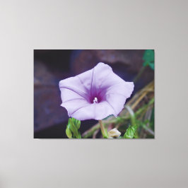 Delaicate paarse bloesem close-up fotografie canvas afdruk