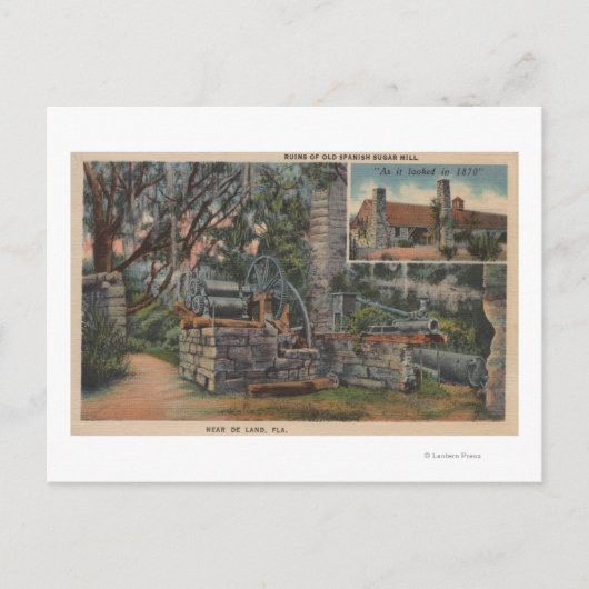Deland, FL - Ruins of Old Spanish Sugar Mill Briefkaart (Voorkant)