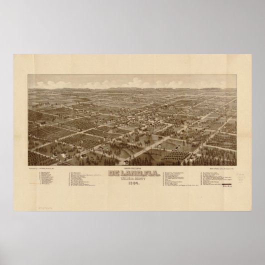 DeLand Florida 1884 Antiek Panorama Poster (Voorkant)