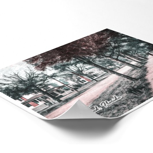 DELAND FLORIDA POSTER (Hoek)