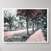 DELAND FLORIDA POSTER (Voorkant)