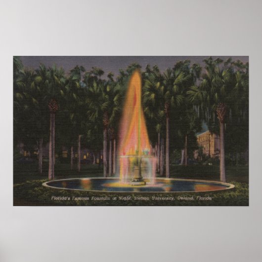 Deland, Florida - Stetson University Poster (Voorkant)