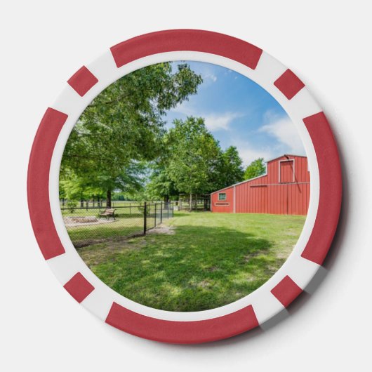 Delaney Ranch speelkaarten Poker Chips (Achterkant)