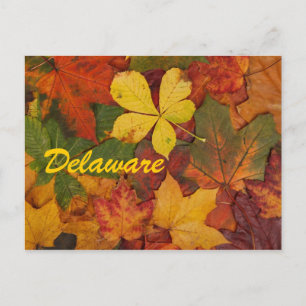 Delaware Autumn Leaves Briefkaart