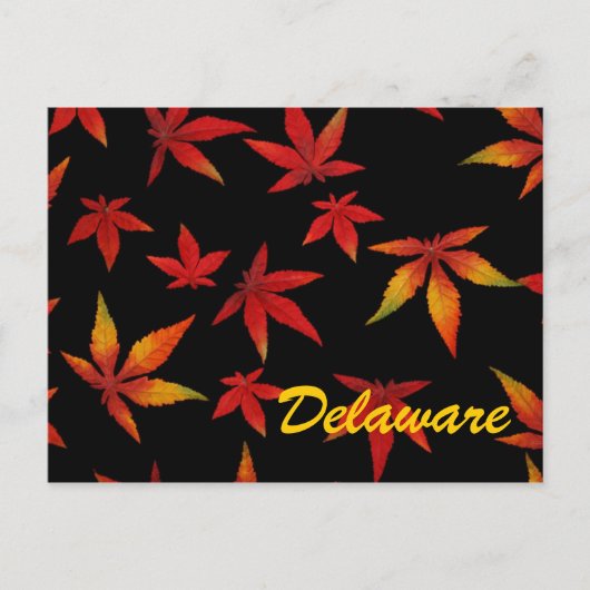 Delaware Autumn Leaves Briefkaart (Voorkant)