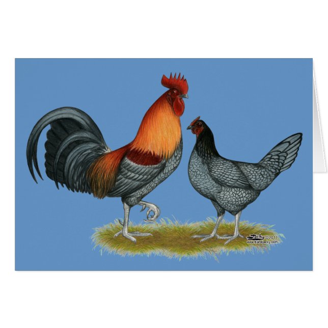 Delaware Blue Hen (Voorkant Horizontaal)