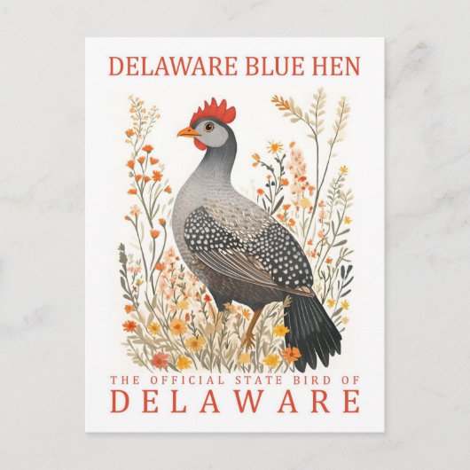 Delaware Blue Hen Bird of Delaware Verenigde State Briefkaart (Voorkant)