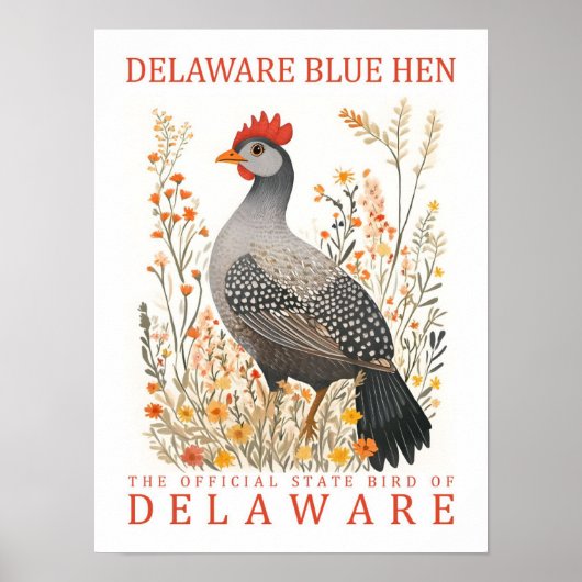 Delaware Blue Hen Bird of Delaware Verenigde State Poster (Voorkant)