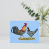 Delaware Blue Hen Briefkaart (Staand voorkant)