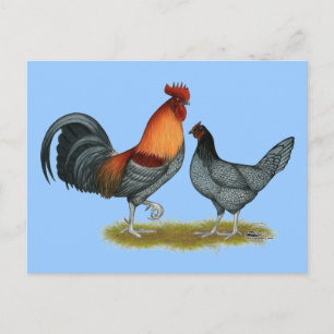 Delaware Blue Hen Briefkaart