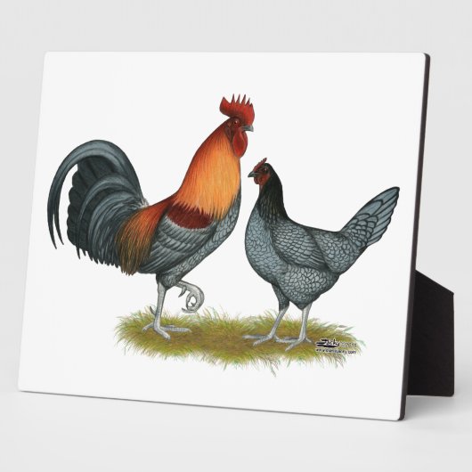 Delaware Blue Hen Fotoplaat (Zijkant)