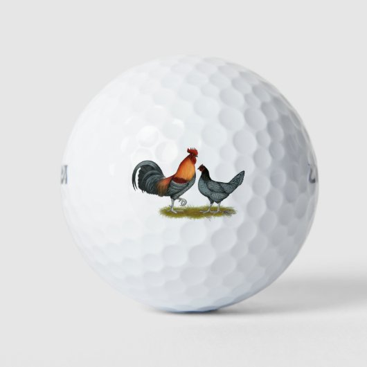 Delaware Blue Hen Golfballen (Voorkant)