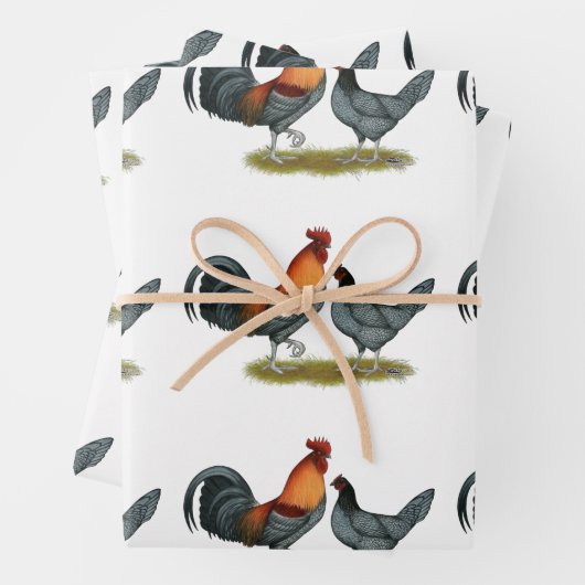 Delaware Blue Hen Inpakpapier Vel (In situ)