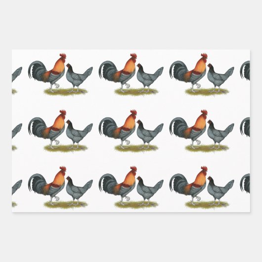 Delaware Blue Hen Inpakpapier Vel (Voorkant)