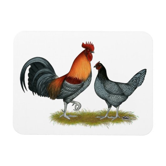 Delaware Blue Hen Magneet (Horizontaal)