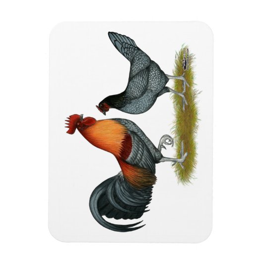 Delaware Blue Hen Magneet (Verticaal)