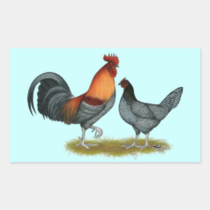 Delaware Blue Hen Rechthoekige Sticker