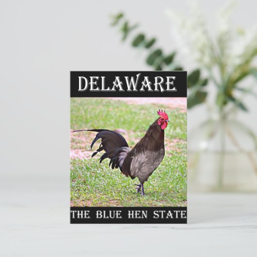 Delaware Blue Hen (Rooster) Briefkaart (Staand voorkant)