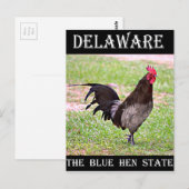 Delaware Blue Hen (Rooster) Briefkaart (Voorkant / Achterkant)