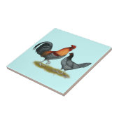 Delaware Blue Hen Tegeltje (Zijkant)