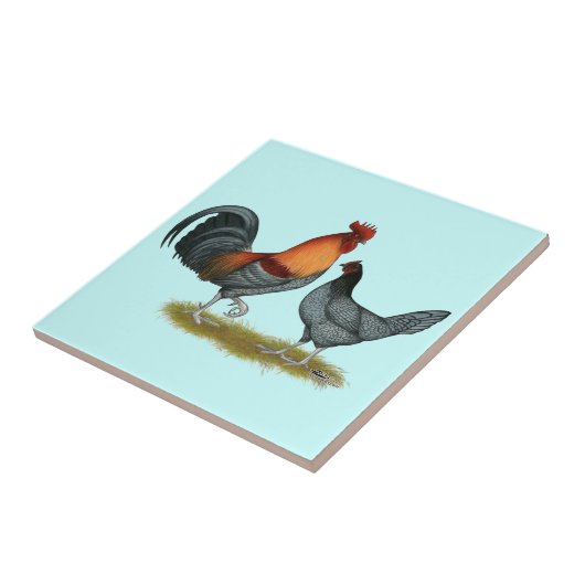 Delaware Blue Hen Tegeltje (Zijkant)