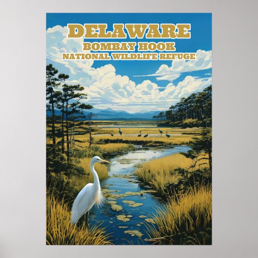 Delaware Bombay Hook V02 Poster (Voorkant)