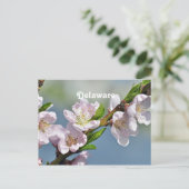Delaware Briefkaart (Staand voorkant)