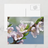 Delaware Briefkaart (Voorkant / Achterkant)