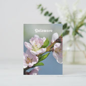 Delaware Briefkaart (Staand voorkant)
