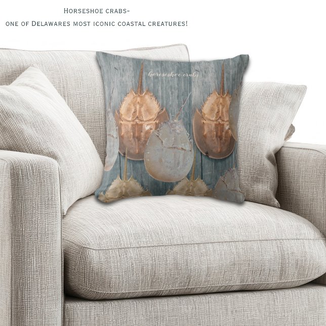 Delaware Degenkrab Kussen – Kustdecoratie (Horeshoe crabs are one of the most iconic coastal creatures in DE! Two sided decorative pillow!)