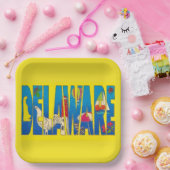 Delaware Feest Papier Bord (Feest)